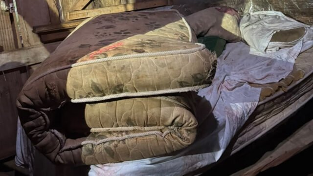 Operação Dignidade apura exploração de idoso de 74 anos em área rural de Foz