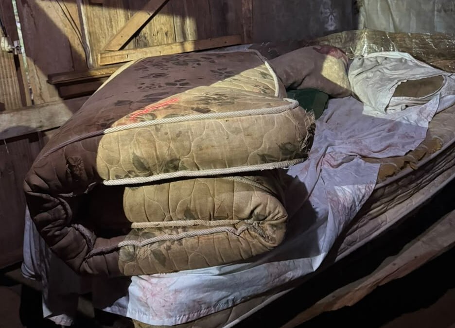 Operação Dignidade apura exploração de idoso de 74 anos em área rural de Foz