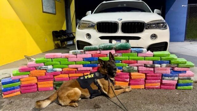 Casal viaja com 136 kg de cocaína no assoalho de uma BMW X6 e é preso na BR-277