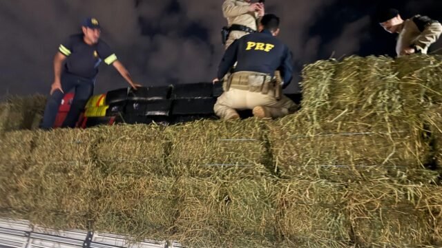 Notas fiscais com horários diferentes entregam 3,9 toneladas de maconha em carga de feno