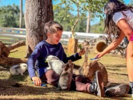 Crianças viram cuidadoras de animais por um dia no Zoo Park Foz
