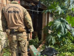 Homem abandona 17,8 kg de maconha e foge pela mata às margens do Rio Paraná, em Foz