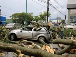 Paraná fecha o pior setembro da história em eventos climáticos, com 173 ocorrências e 11 mortes