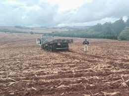 Perseguição na BR-277 termina com caminhão abandonado e 1.054 kg de maconha em Matelândia