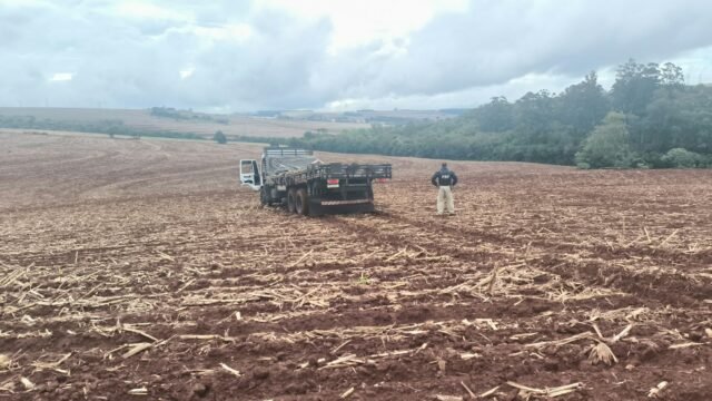 Perseguição na BR-277 termina com caminhão abandonado e 1.054 kg de maconha em Matelândia