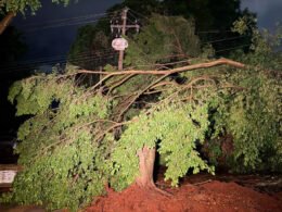 Vendaval com rajadas de 75 km/h derrubou 16 árvores em Foz do Iguaçu