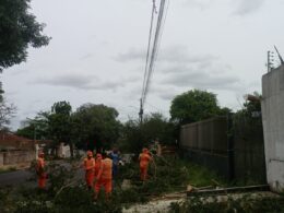 Força-tarefa já atendeu 35 das 40 ocorrências de árvores caídas em Foz do Iguaçu
