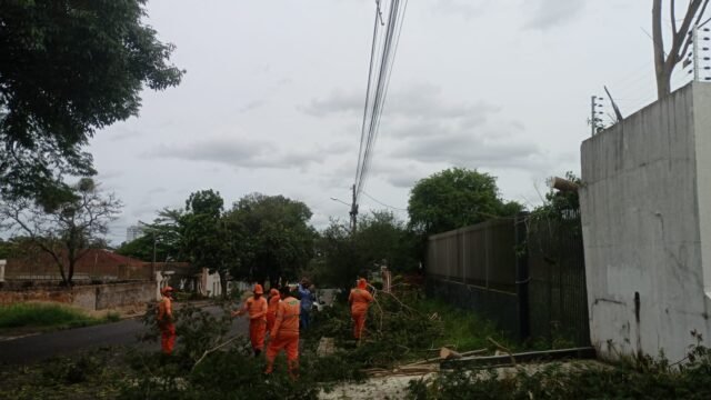 Força-tarefa já atendeu 35 das 40 ocorrências de árvores caídas em Foz do Iguaçu