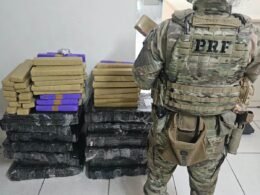 Homem e mulher são presos com 209 quilos de maconha escondidos até sob os pés