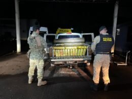 Após perseguição, motorista abandona carro com 990 quilos de maconha e foge a pé