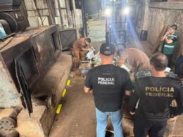 Mais de 10 toneladas de drogas apreendidas na fronteira são incineradas