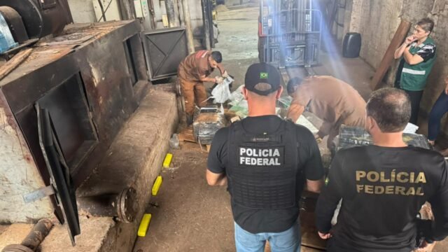 Mais de 10 toneladas de drogas apreendidas na fronteira são incineradas