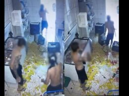 Cinco são identificados por invadir escola e destruir merenda na Vila C