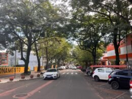 Poda na Avenida Brasil muda trânsito e estacionamento a partir de 3 de novembro