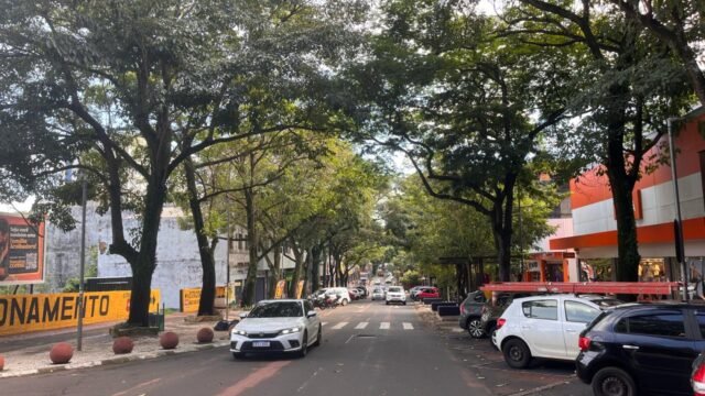 Poda na Avenida Brasil muda trânsito e estacionamento a partir de 3 de novembro
