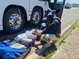 Maconha embalada em pó de café é achada em malas de ônibus que ia a Curitiba