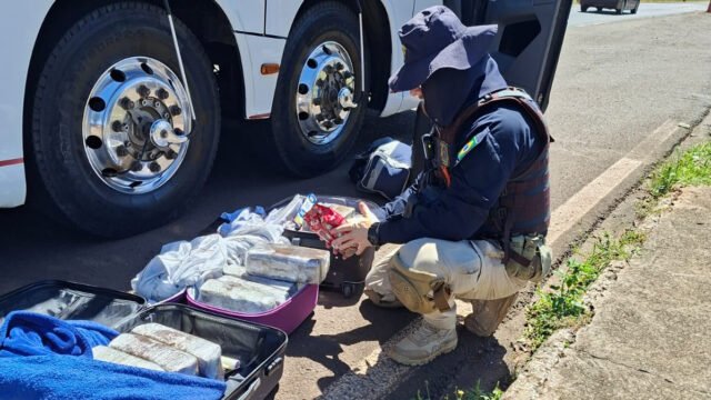 Maconha embalada em pó de café é achada em malas de ônibus que ia a Curitiba