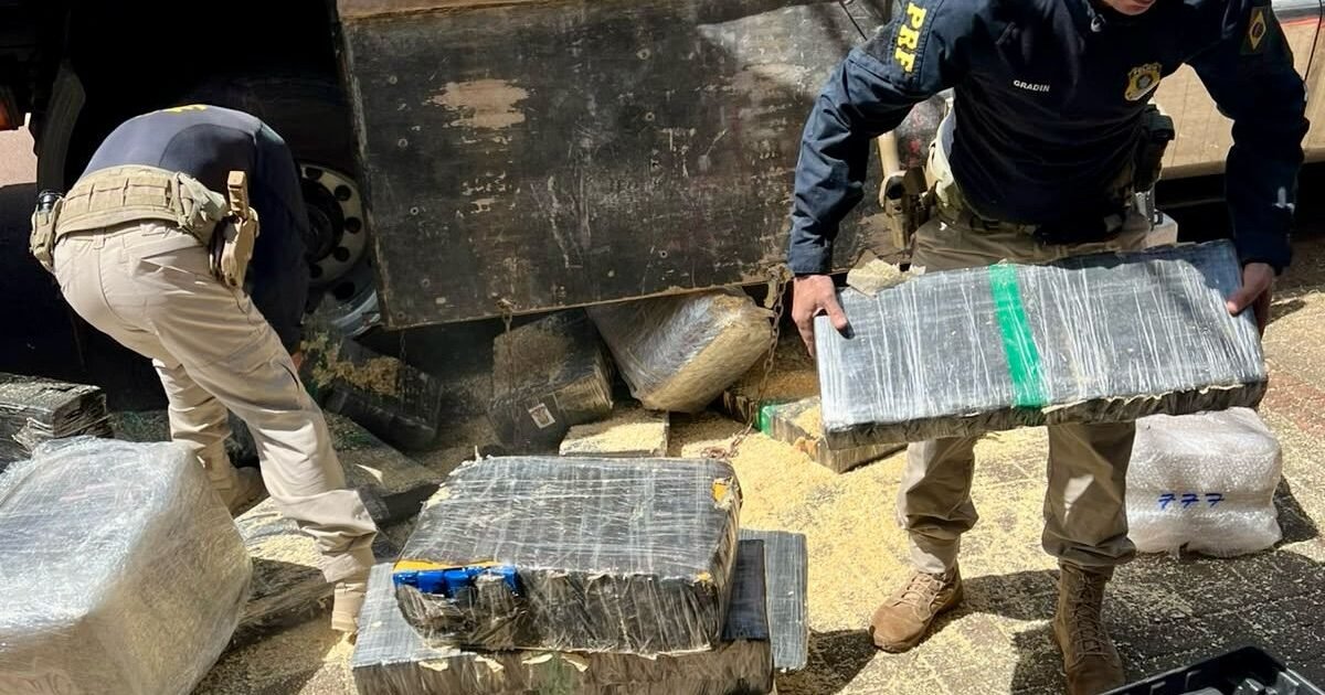 Fiscalização de freios na BR-277 acha 2,6 toneladas de maconha em carga de maravalha
