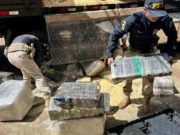 Fiscalização de freios na BR-277 acha 2,6 toneladas de maconha em carga de maravalha
