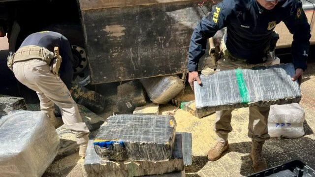 Fiscalização de freios na BR-277 acha 2,6 toneladas de maconha em carga de maravalha