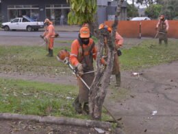 Mutirões de zeladoria recolheram quase 3 mil toneladas de entulho em Foz em seis meses
